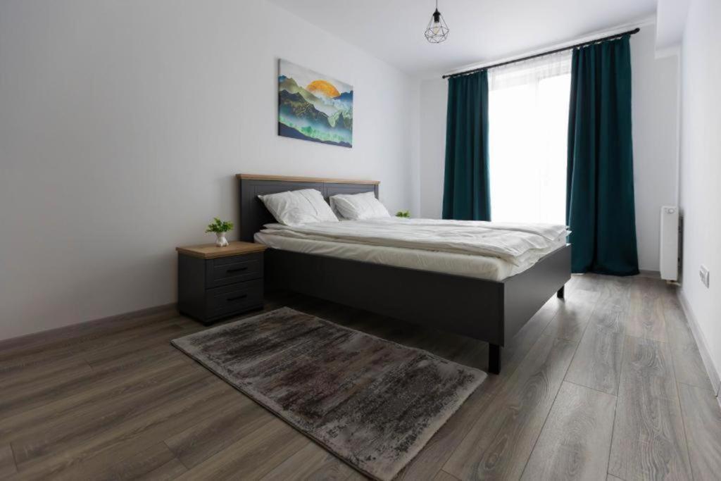 Dominic Apartments シギショアラ エクステリア 写真