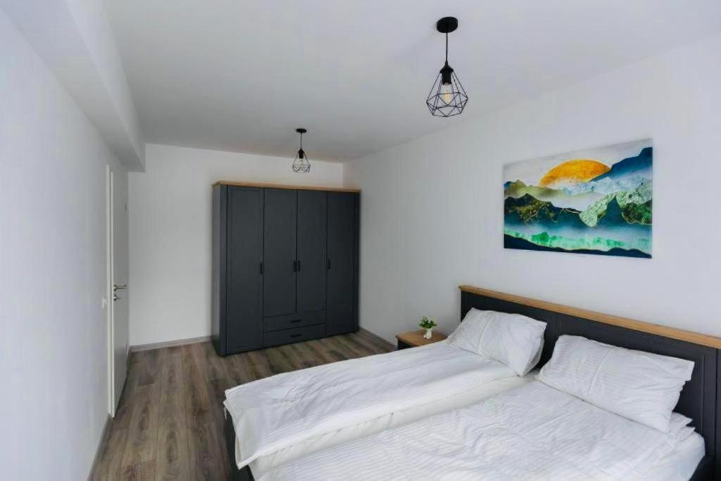 Dominic Apartments シギショアラ エクステリア 写真