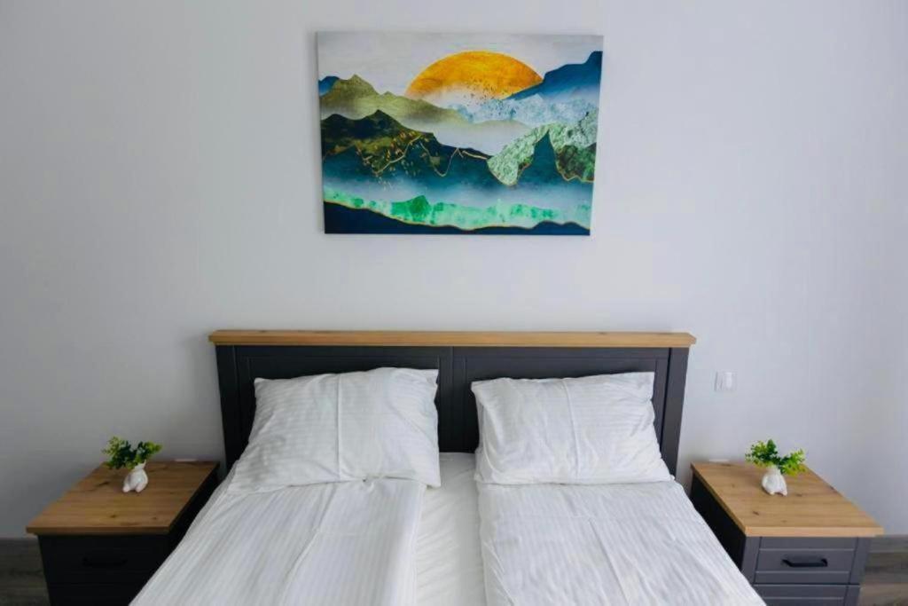 Dominic Apartments シギショアラ エクステリア 写真